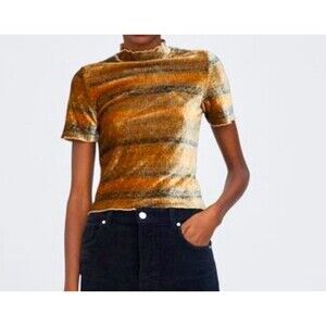Zara velvet brown Ombre striped short sleeve top size small